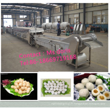 Machine automatique de fabrication de boulettes de viande / Meatball Machine / Meatball Maker